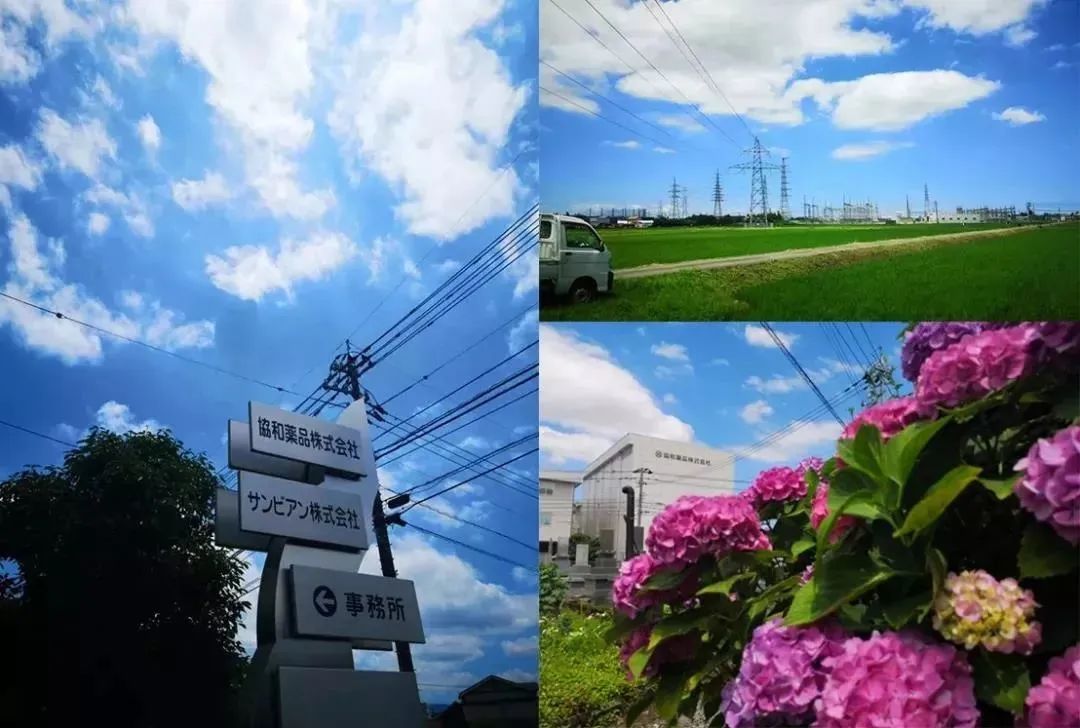 日本眼科协会力荐的“蓝光过滤器”,每天2粒,眼干眼涩眼疲劳都拜拜