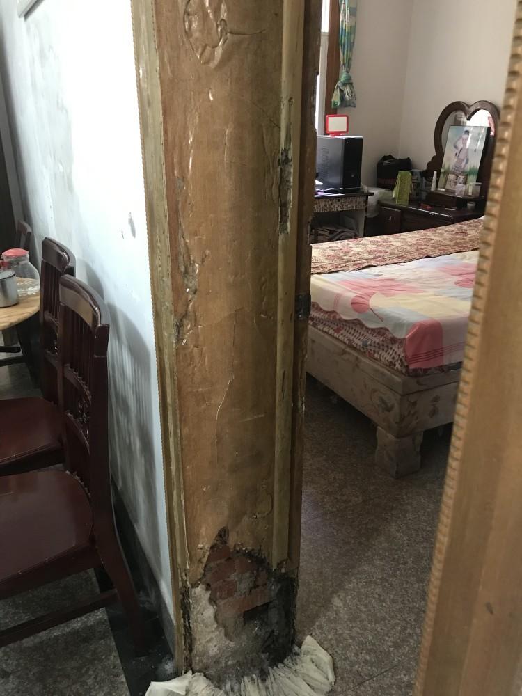 最近你家发现白蚁了吗？别慌，打3925716免费治