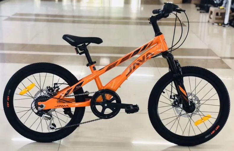 儿童自行车应该怎么选,儿童骑公路车什么品牌最好