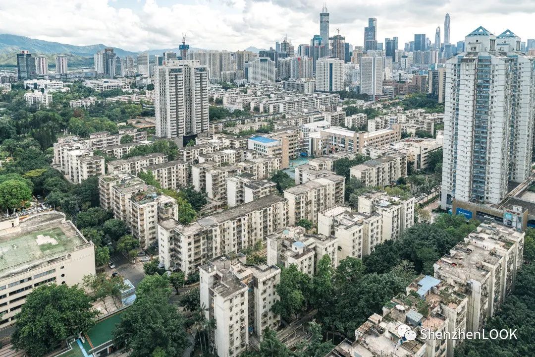 LOOK|这，就是园岭