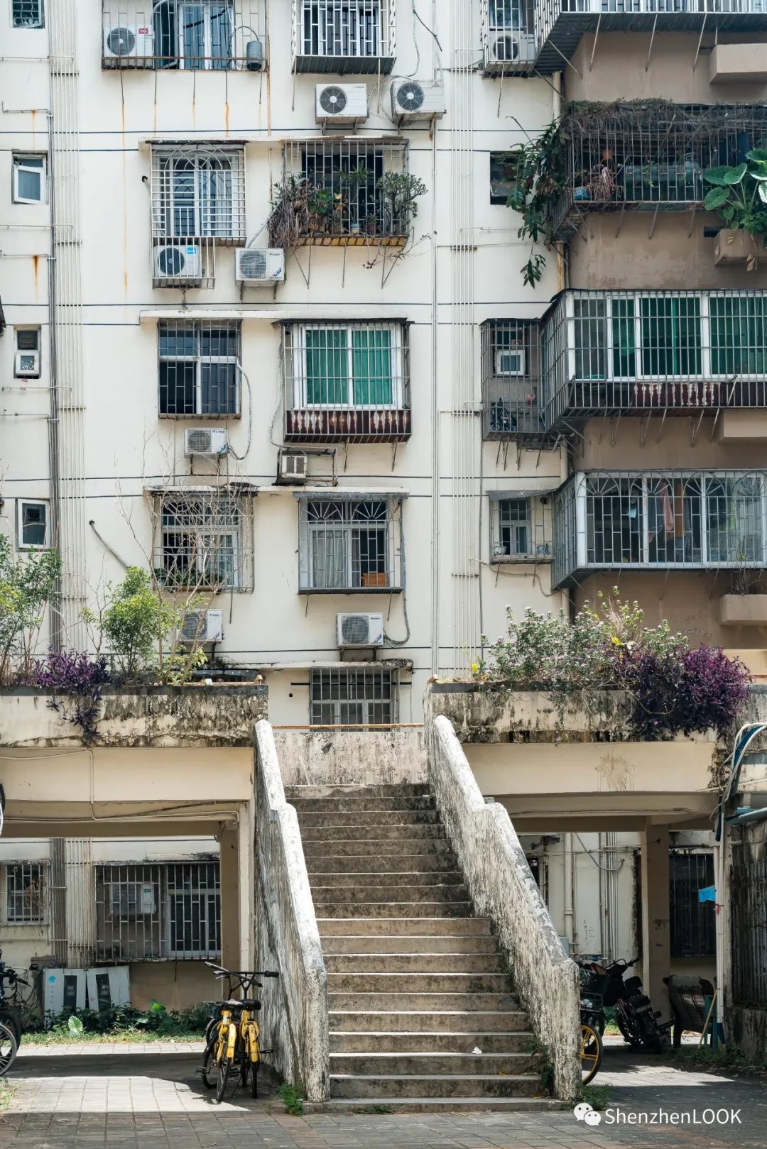 LOOK|这，就是园岭