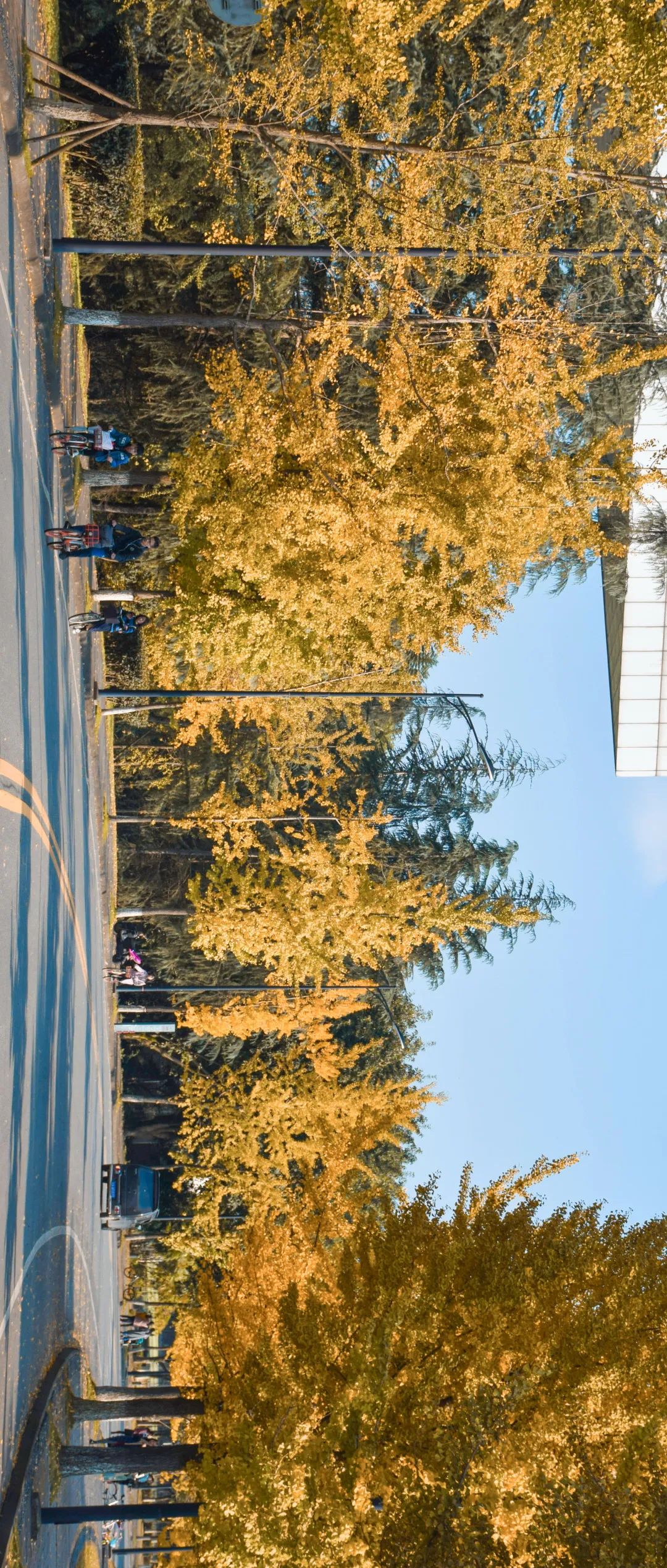 川大江安全景,川大江安校区地图高清