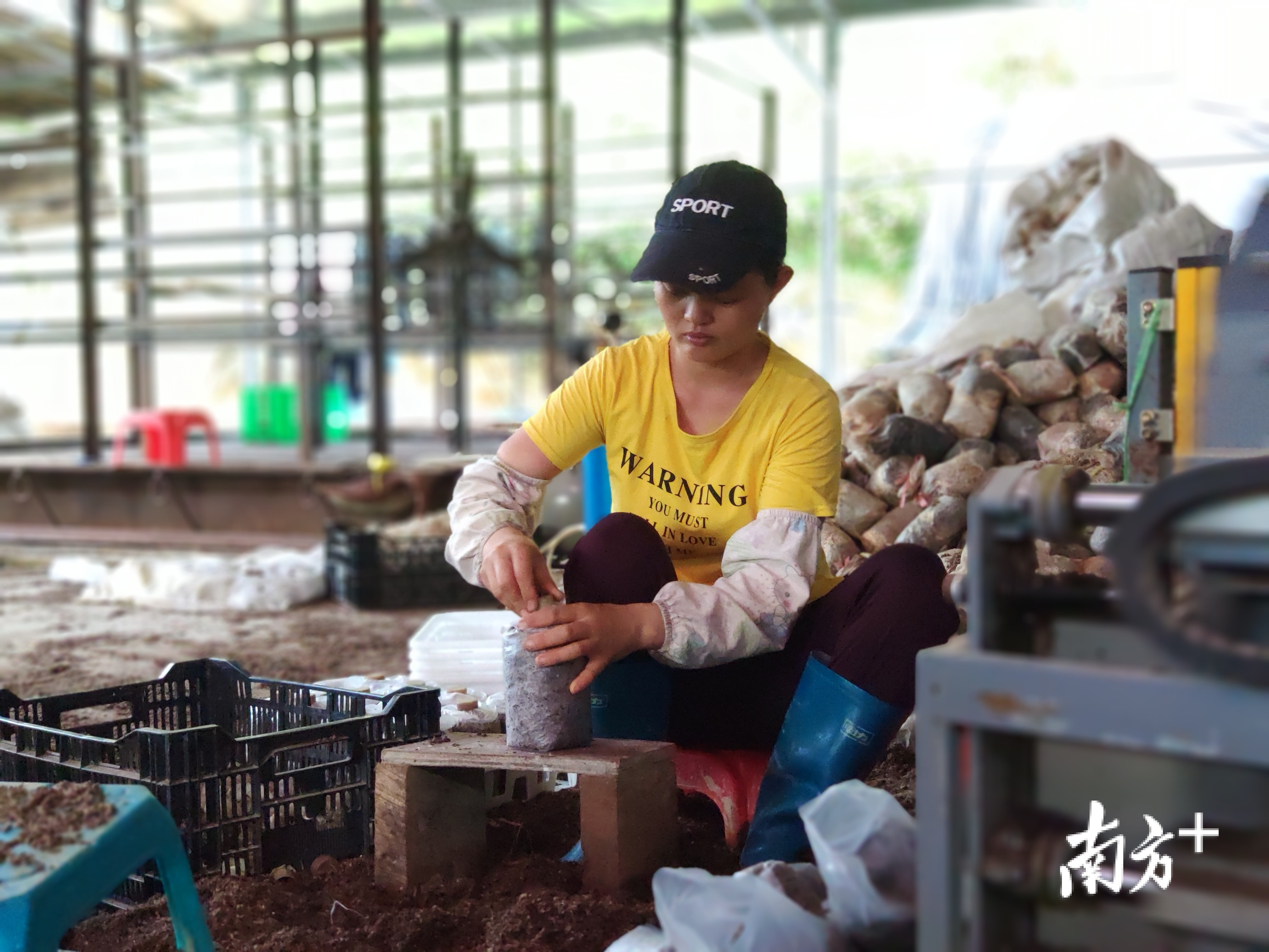 云浮市云城区腰古镇水东古村落,云浮市云城区腰古镇腰古村简介