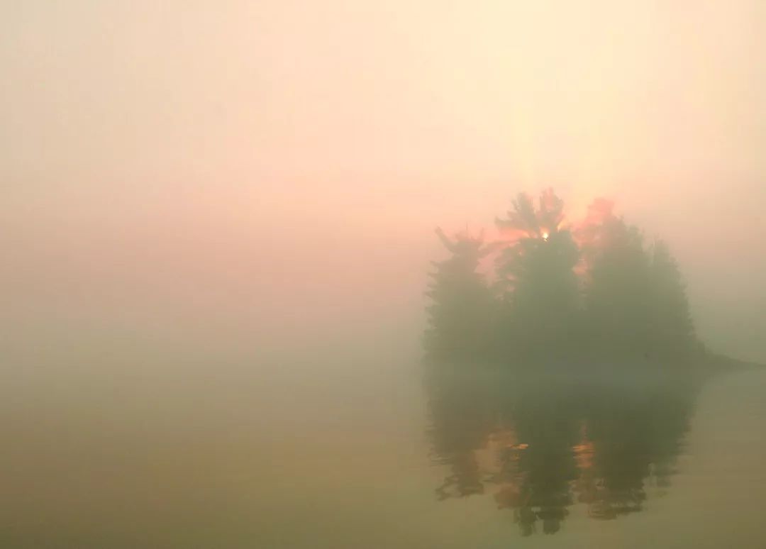 中国最后一个文人汪曾祺,文学家汪曾祺简介