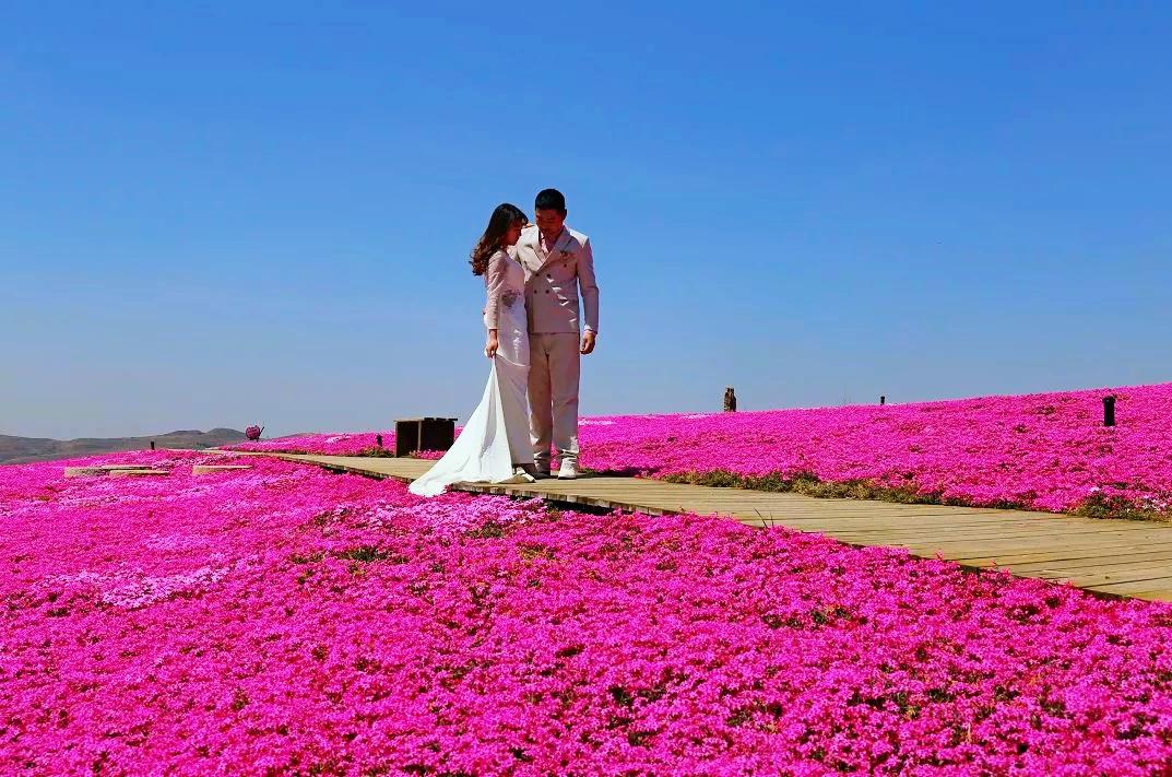 淄博景区半价,淄博3月底免费景点免费开放通知