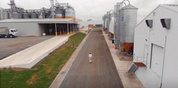 超市的鸡蛋上为什么没有屎,超市鸡蛋表面有屎好还是没有屎好