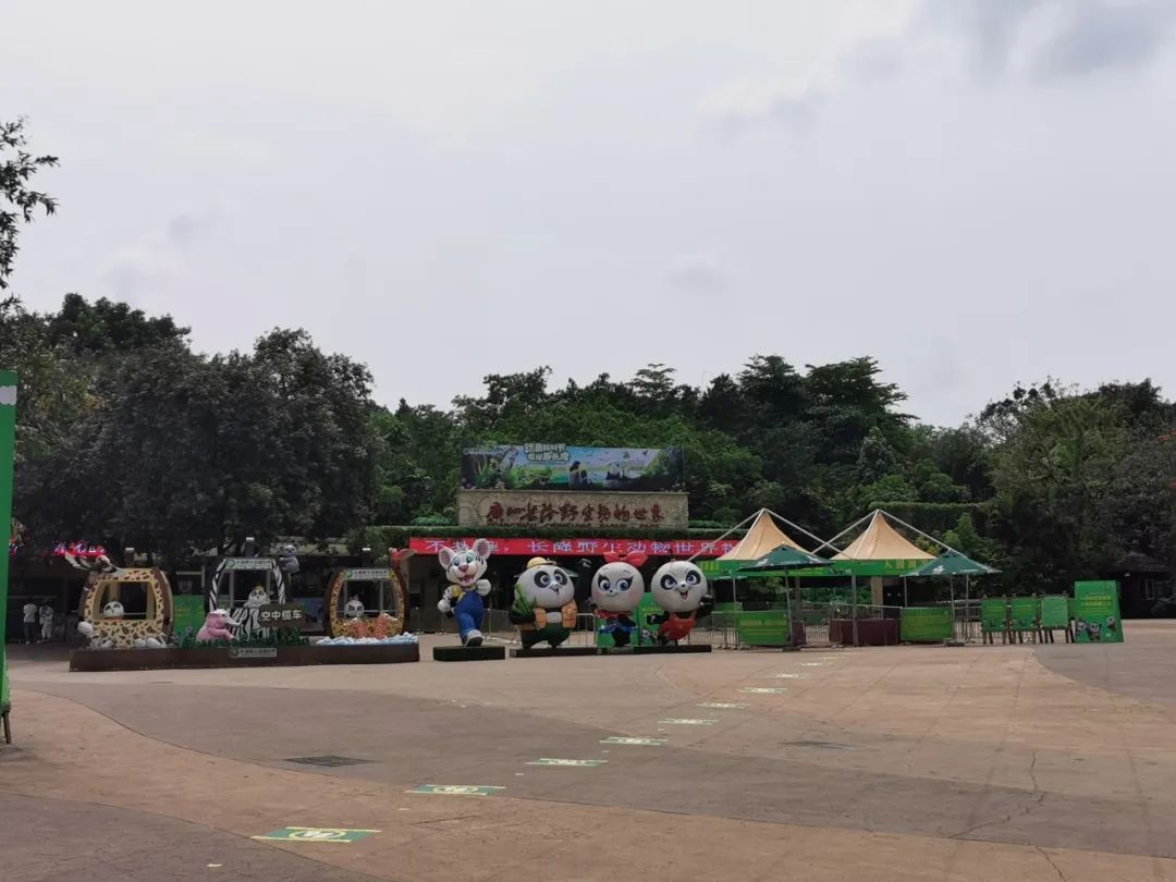 最新广州长隆野生动物园南门攻略,广州长隆动物园的白虎简介