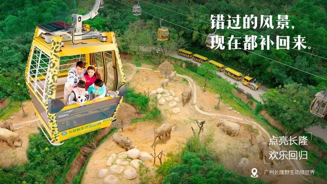 最新广州长隆野生动物园南门攻略,广州长隆动物园的白虎简介