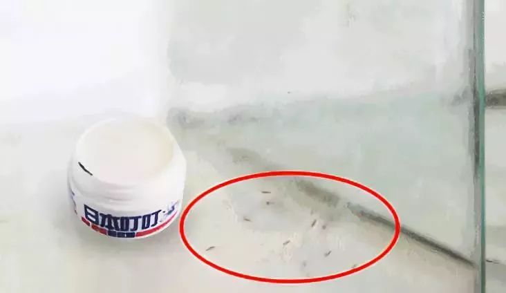 日本环保驱蚊剂,健康驱蚊神器