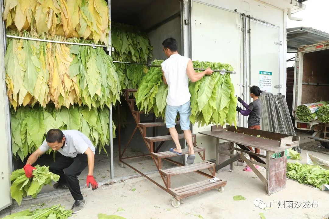 50%50%为什么等于0.75,100%黑巧克力怎么做好吃