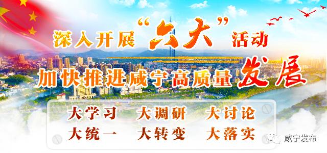 咸宁通山文旅,通山生态文旅城