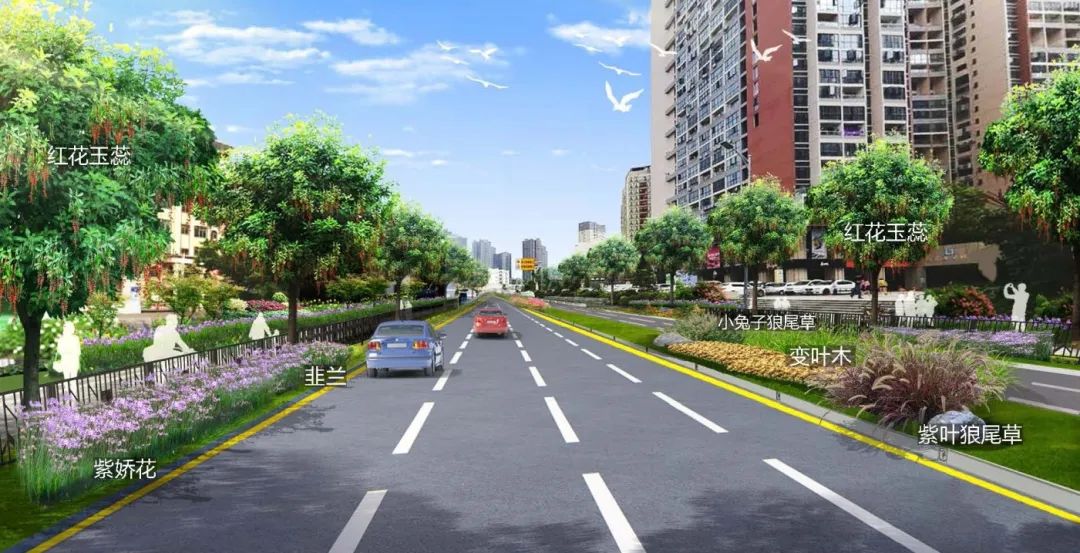 观澜区道路改造,观澜大道扩建最新消息