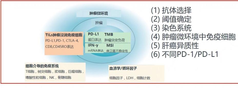 李涛谈肝胆免疫治疗,免疫细胞治疗肝肿瘤效果