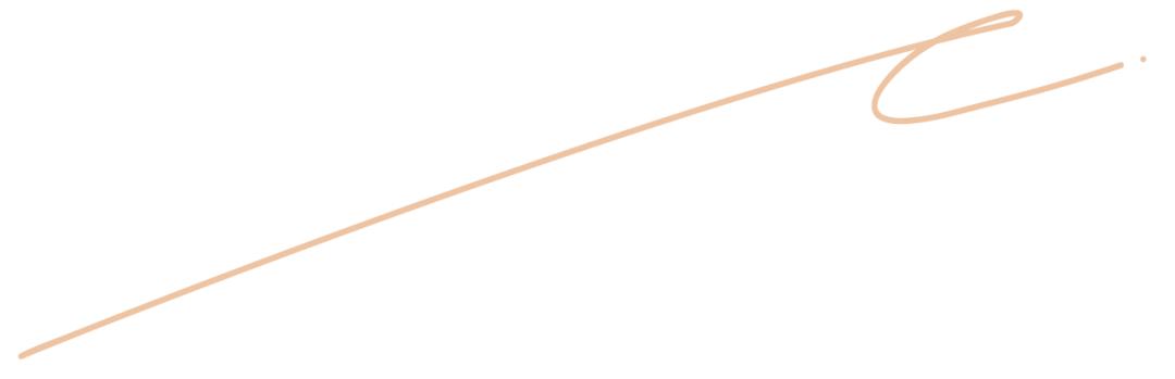 一只硬箱的传奇之旅