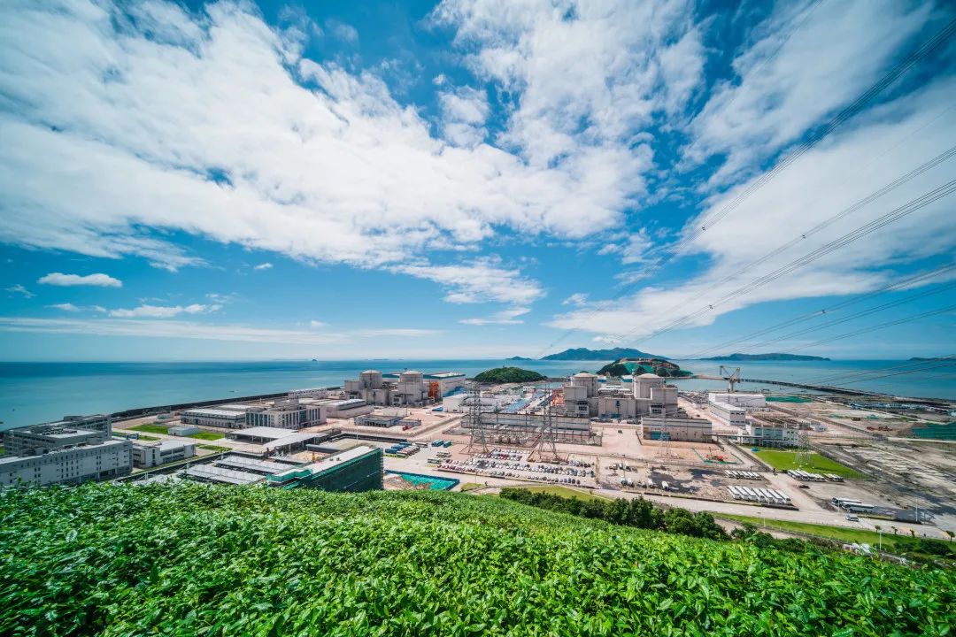 这样的鸟兽胖友圈,你见过吗?