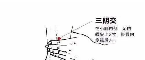 脾胃不好胃口差?按摩身体这5个穴位,让你远离脾胃虚弱