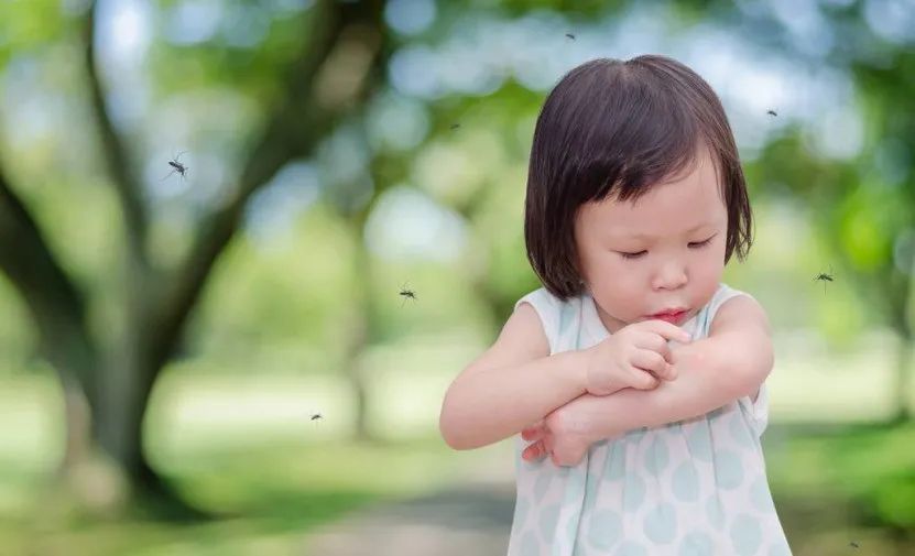 驱蚊孕妇婴儿可用的大牌子,驱蚊孕妇专用