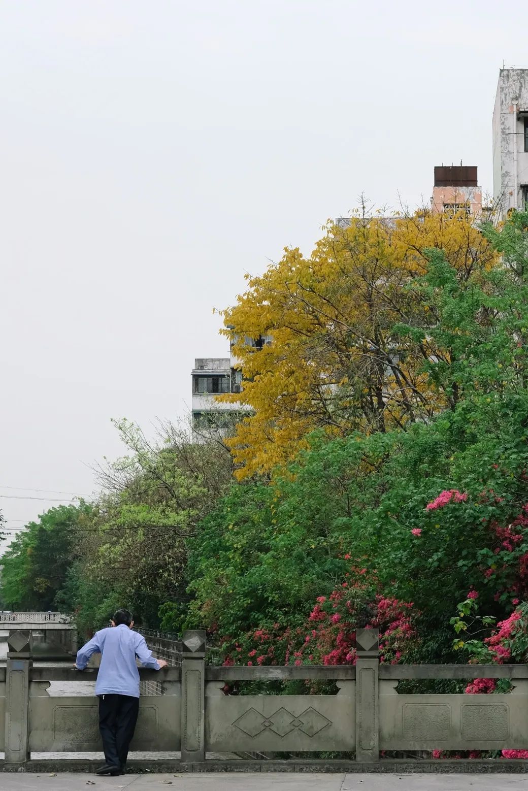 少陵路是属于哪个街道,三年前少陵路