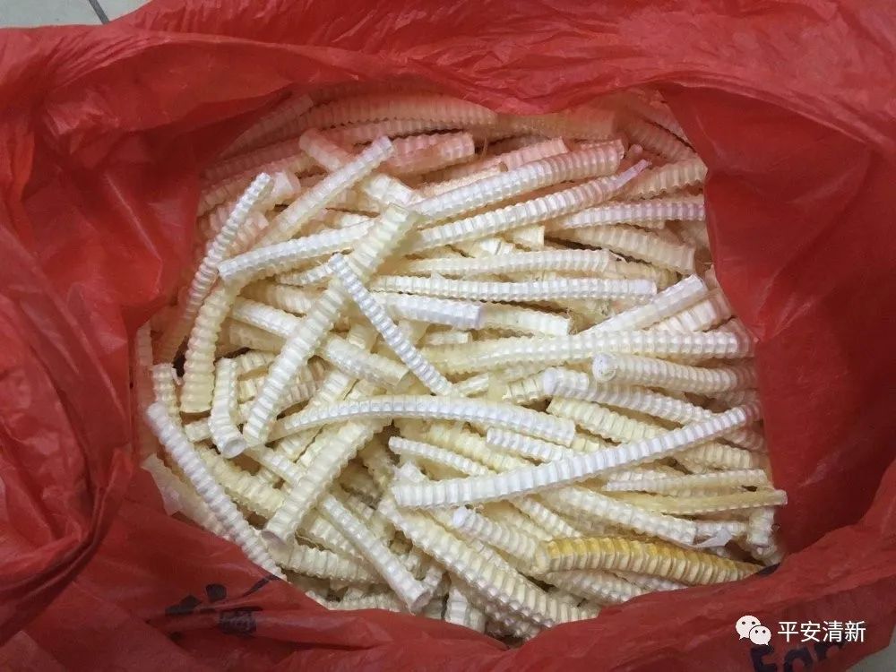 海底龟煲汤功效,海底龟煲汤