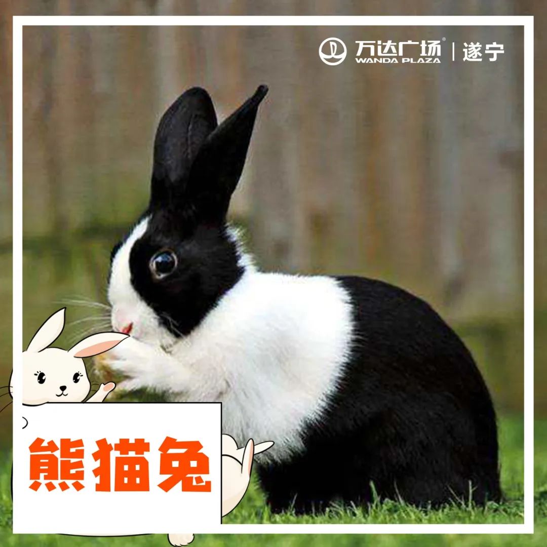 小宝贝解封后秒变“神兽”，这里有魔力啊