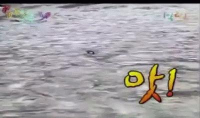 《极挑》涉嫌抄袭?韩综金牌PD揭密爆款综艺三大秘诀,听完佩服