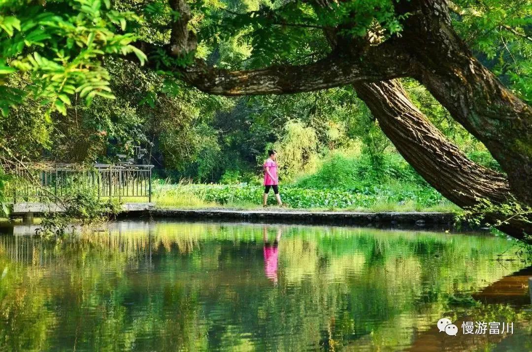 富川慢城,富川慢城花海攻略