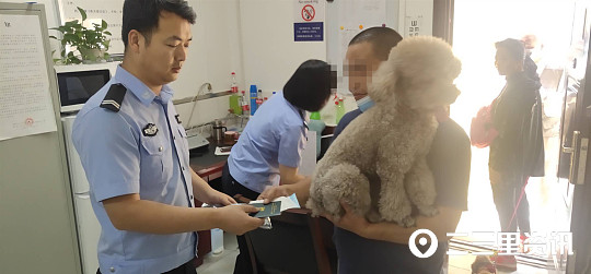 铲屎官注意避免自家宠物惹火,西安抓到禁养犬怎么办