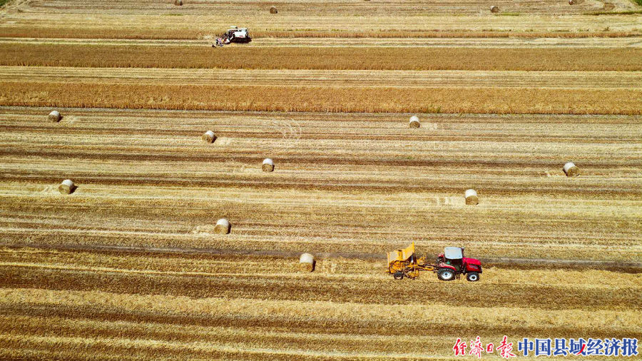 宿迁麦草秸秆,秸秆五化综合利用