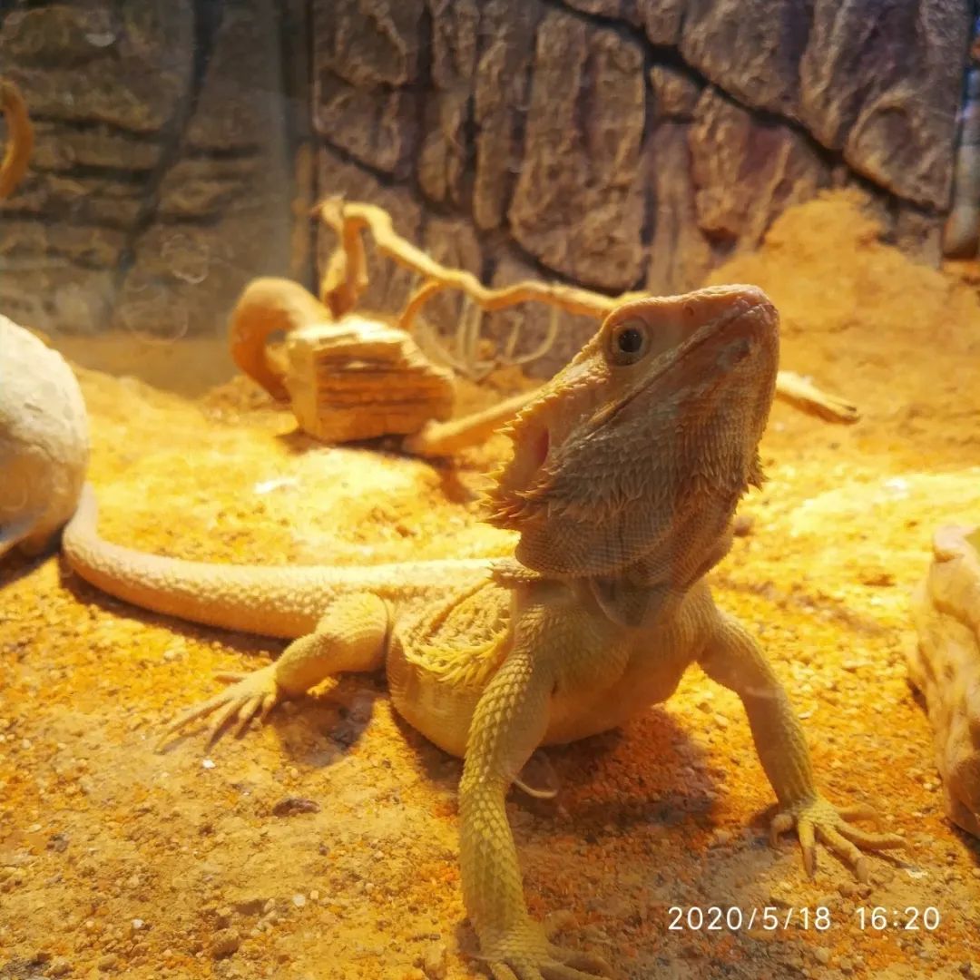 打卡安华汇欢乐舟主题公园,安华汇欢乐舟主题乐园真实视频