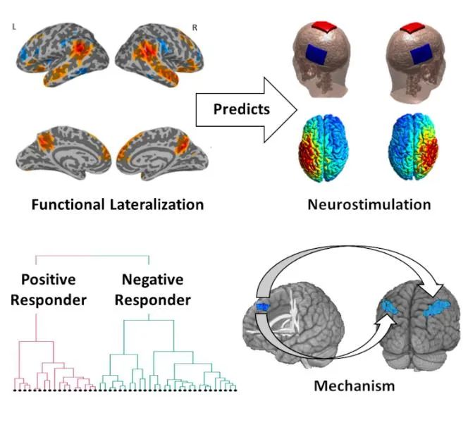 给大脑充电和开窍,对大脑充电的冷知识