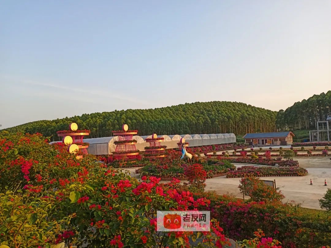 上林旅游免费景区,广西上林3a级景区