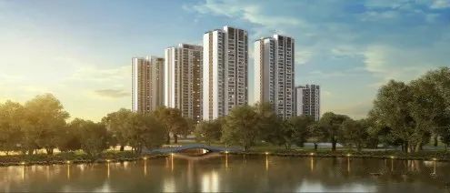 day9,day9的价目表