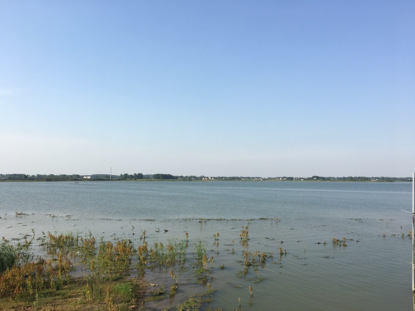 水库地形不好怎么甩大鞭,水库甩大鞭钓鱼