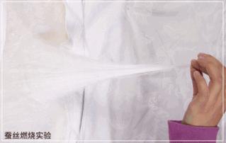 蚕丝被曝光事件,蚕丝被真相图片