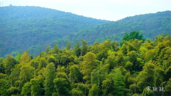 江浙低调的城市,常熟值不值得去