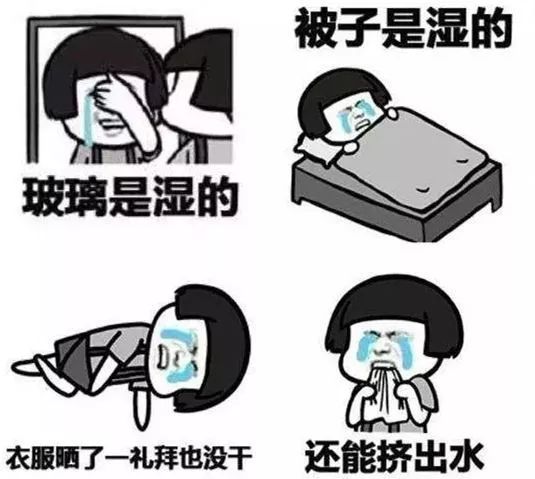 官宣的新消息,官宣时间确定了吗