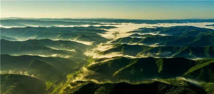 再造子午岭,再造一个子午岭有效吗