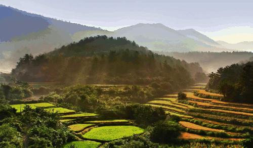 人参食疗法,药补不如食补养外不如养内