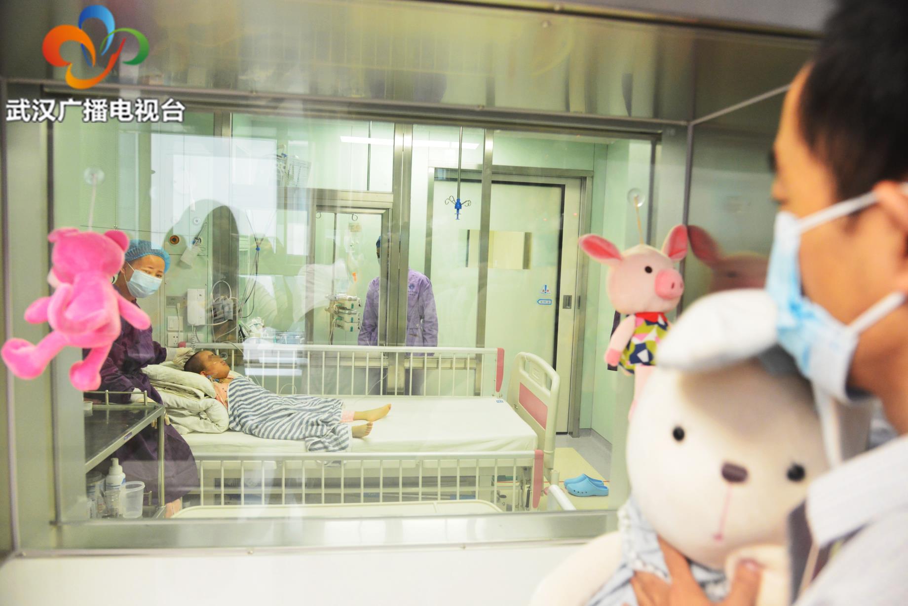 儿童干细胞移植陪护病房,儿童医院移植舱