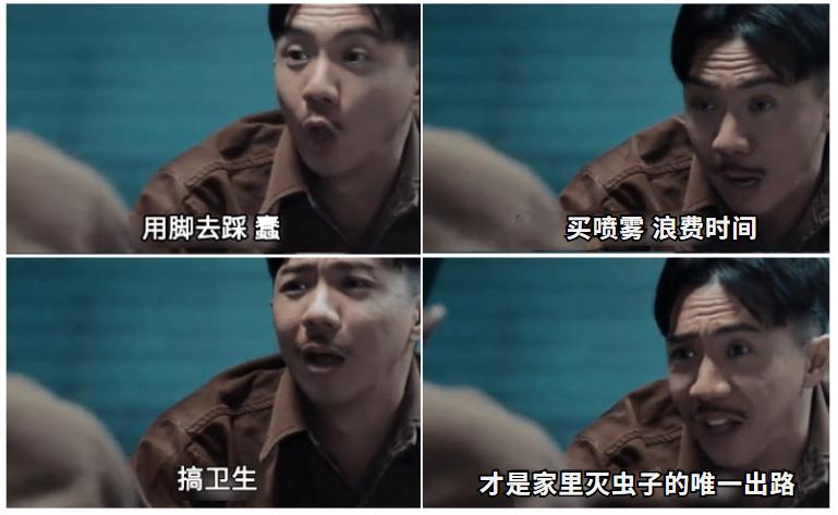 家里有很多小黑虫蠕动怎么回事,抓也抓不住的小虫子