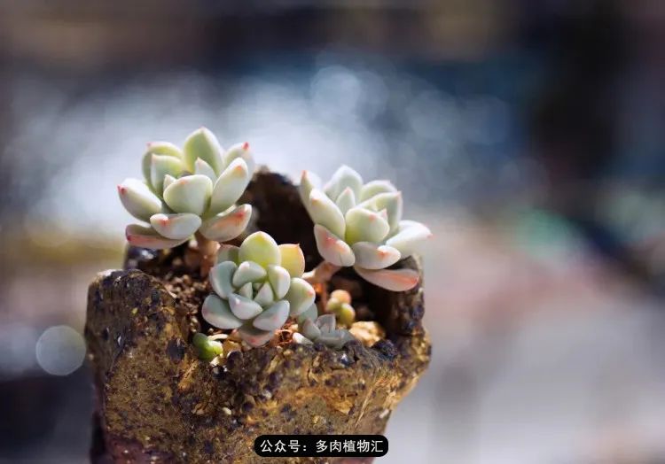 专注于自己喜欢的事情,专注于自己喜爱的事情