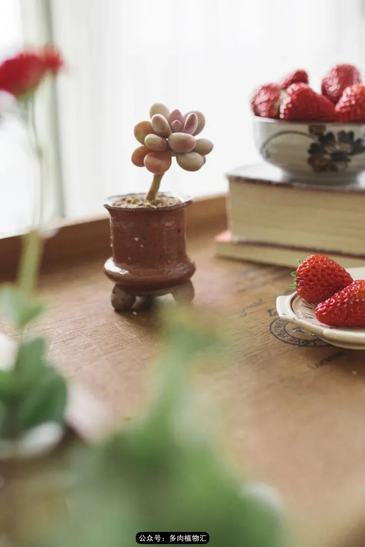 专注于自己喜欢的事情,专注于自己喜爱的事情