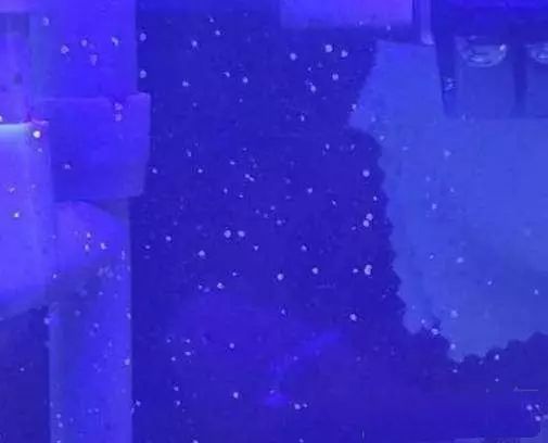 活石掉的粉末有害吗,活石里面虫子会寄生小鱼吗