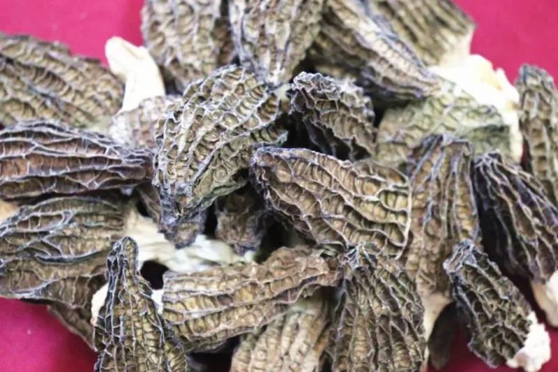 好嘢！直播狂欢最后一天！万元豪礼免费送！