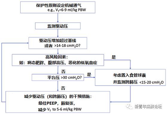 跨肺压与驱动压的区别,驱动压和跨肺压区别