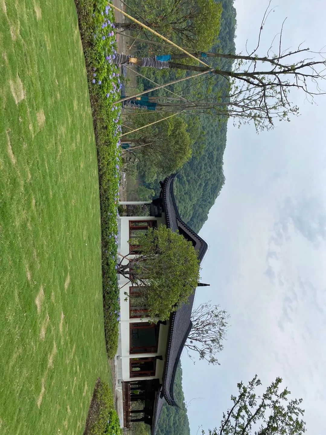 杭州新开最大的公园,杭州新湿地公园