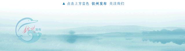 谭丕创钦州,广西贵港谭丕创