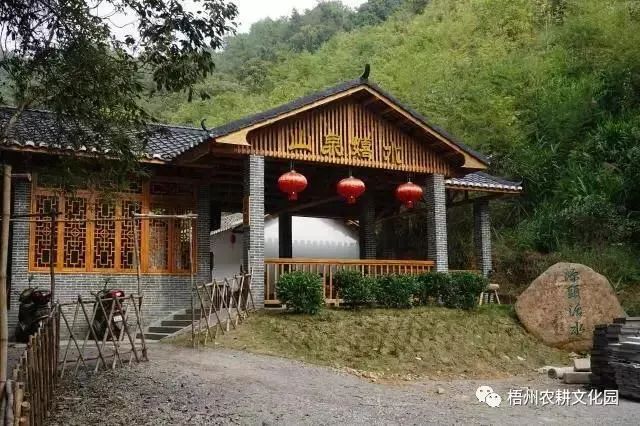 来梧州，体验岭南文化，吃遍大街小巷|“广西人游广西”精品自驾游路线