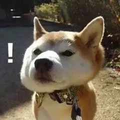 鍩庝簨鏇存柊,鍩庝簨