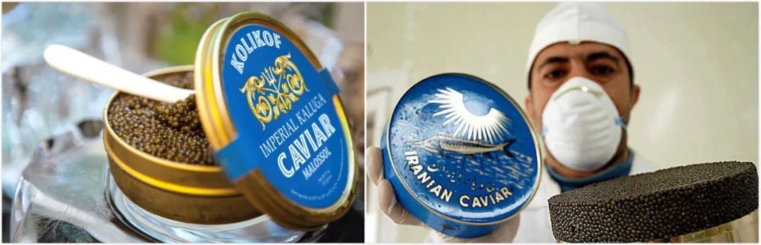 国外贵族用手背吃鱼子酱,鱼子酱放手背吃